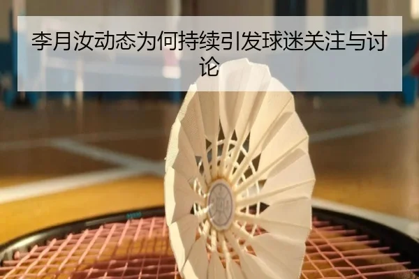 李月汝动态为何持续引发球迷关注与讨论